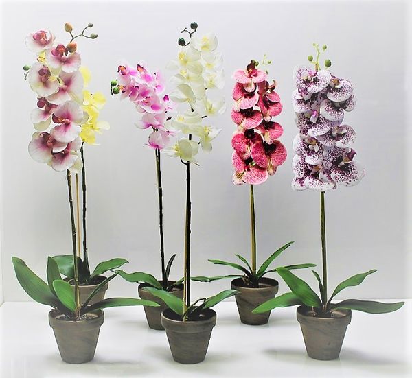 MAKRO - Orchidea umelá 63cm rôzne druhy