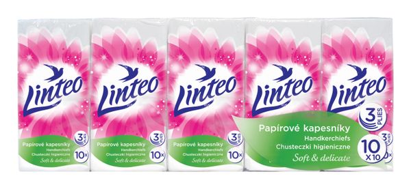 MAKRO - Vreckovky LINTEO SATIN 10x10